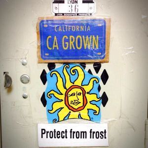 Meet your Posher, Gary